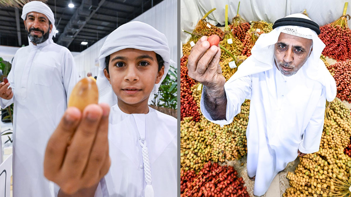 "سما دبي" تواكب "دبي للرطب" بحلقات خاصة وتقارير مميزة